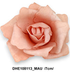 DHE108113_MAU