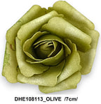 DHE108113_OLIVE