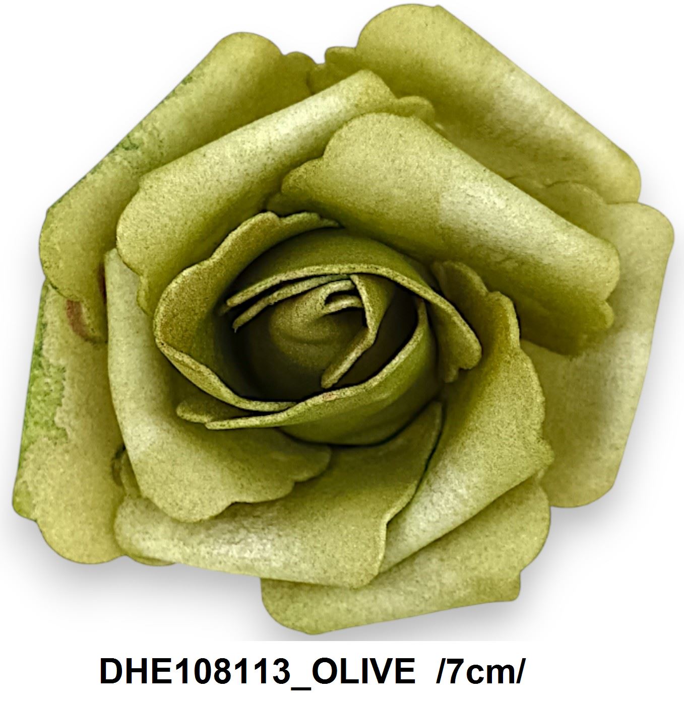 DHE108113_OLIVE