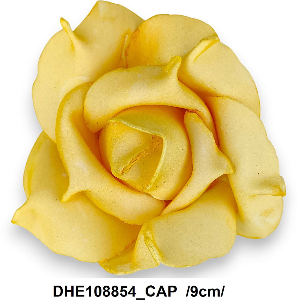 DHE108854_CAP