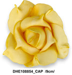 DHE108854_CAP