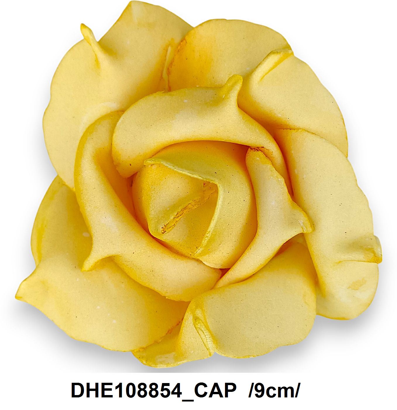 DHE108854_CAP