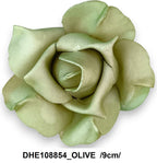 DHE108854_OLIVE