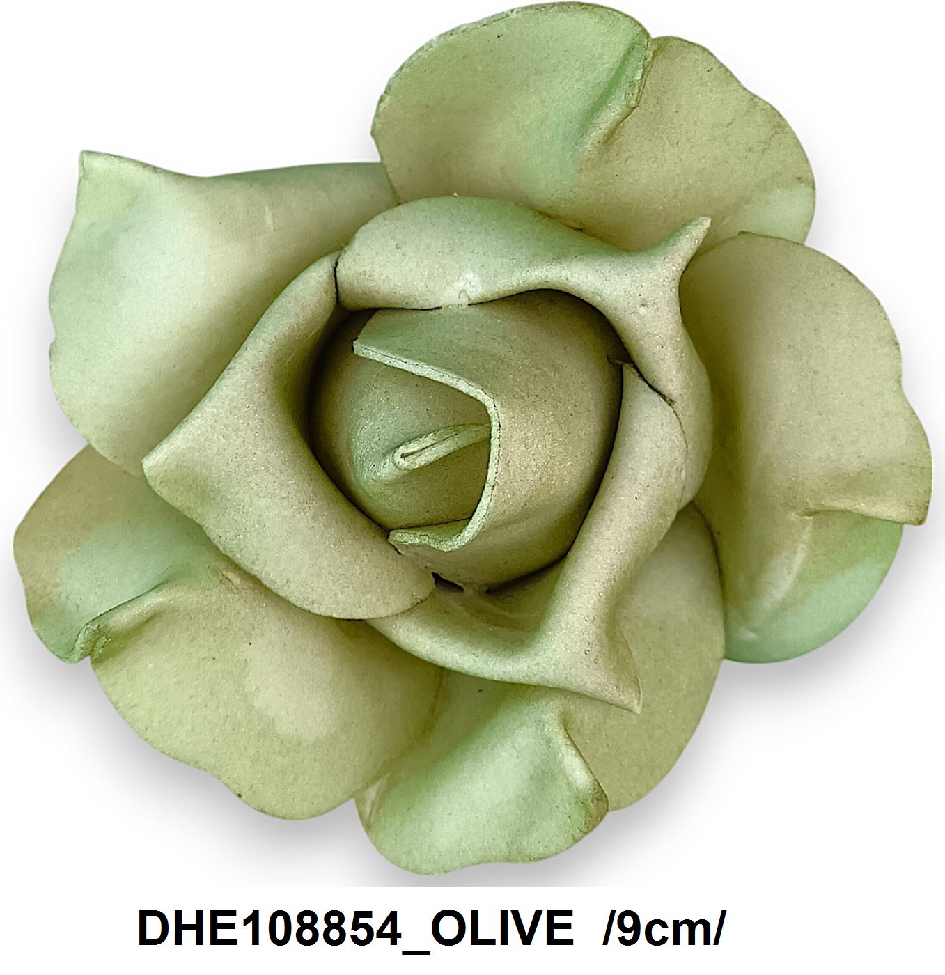 DHE108854_OLIVE
