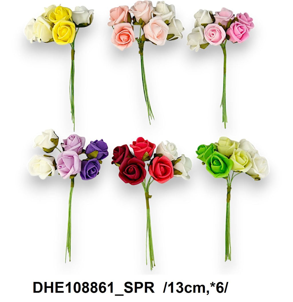 DHE108861_SPR