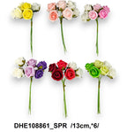 DHE108861_SPR