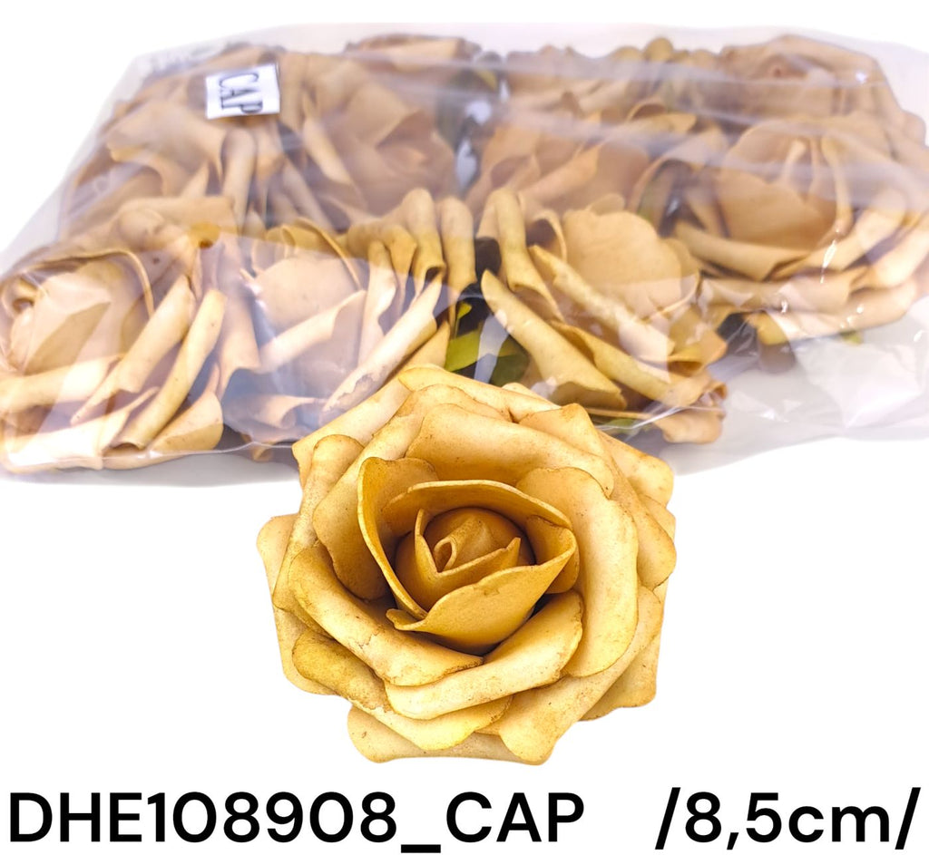 DHE108908_CAP