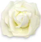 DHE108908_CRPK
