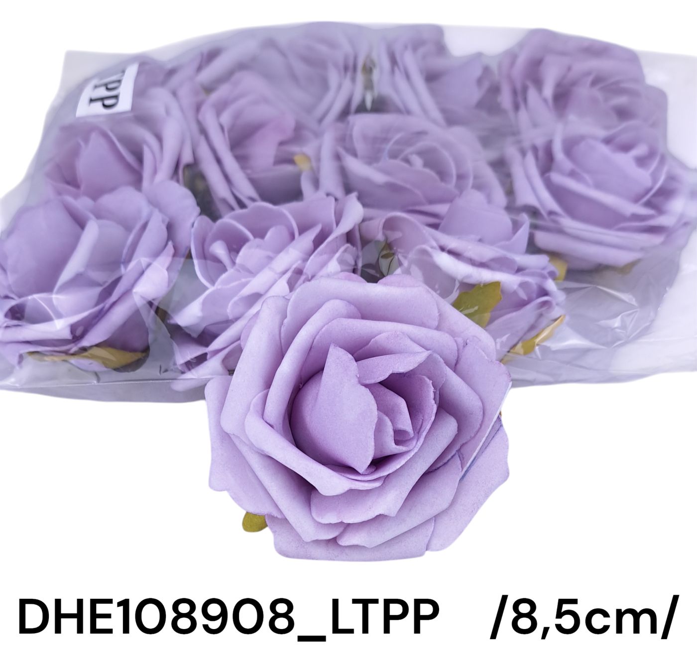 DHE108908_LTPP