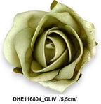 DHE116804_OLIV