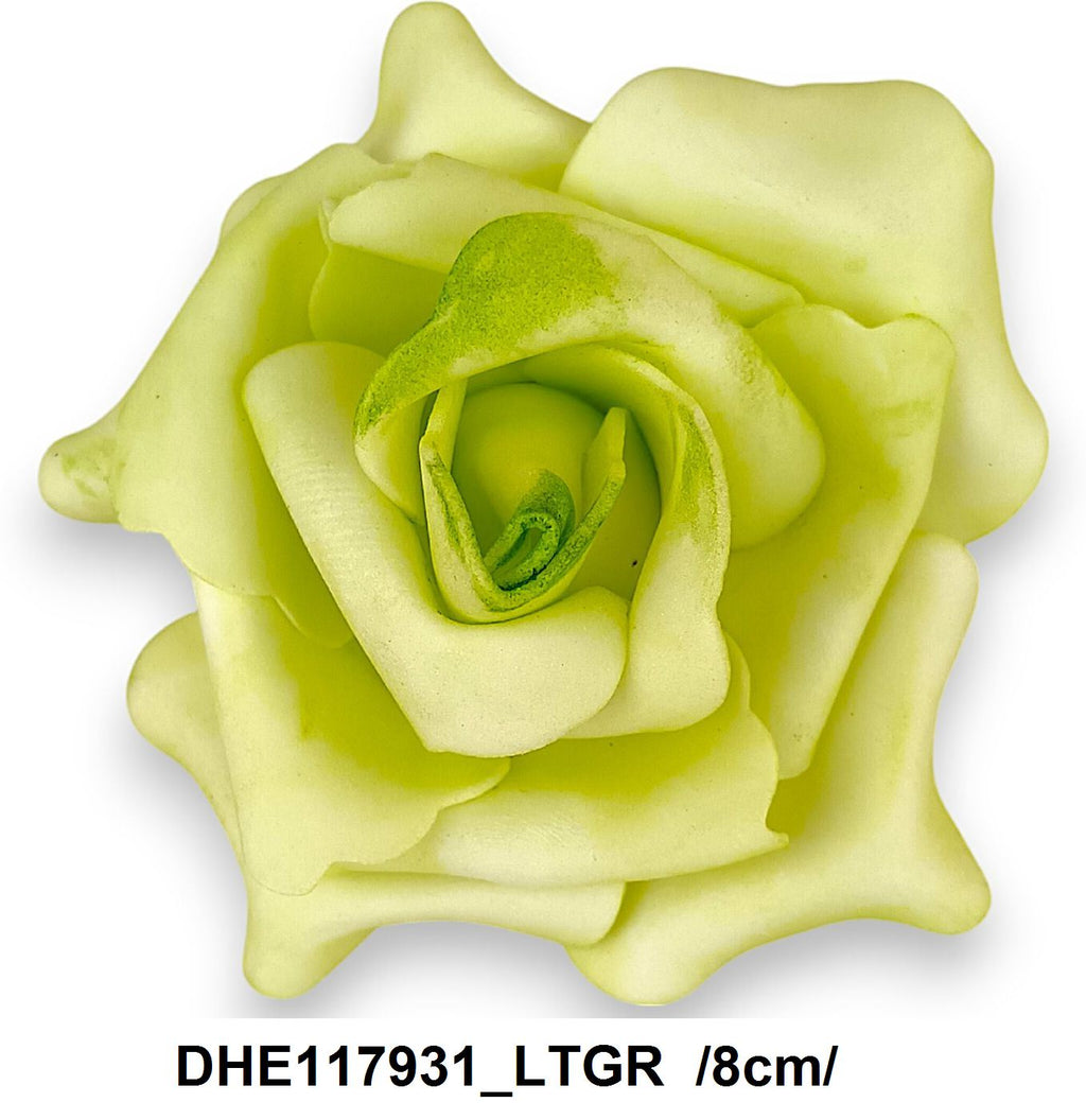 DHE117931_LTGR