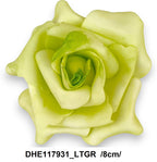DHE117931_LTGR