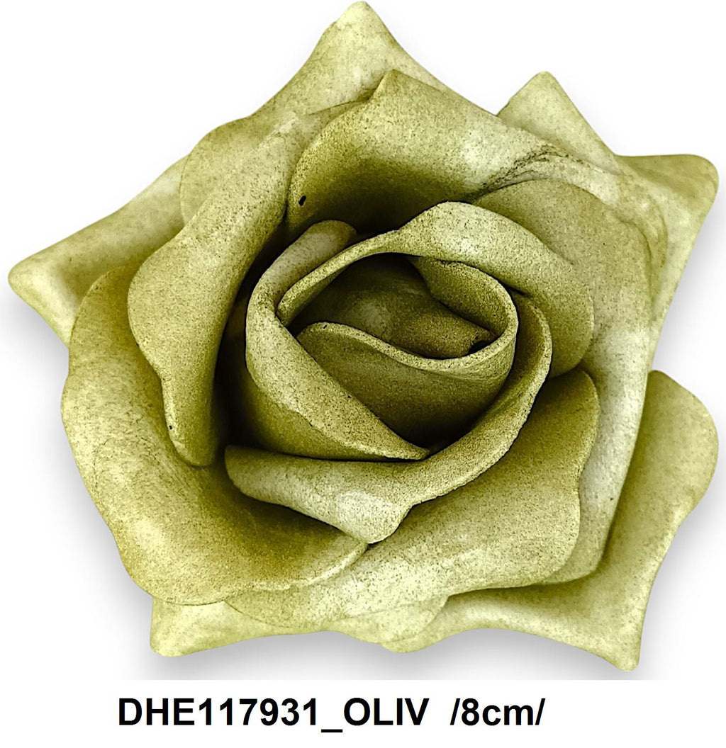 DHE117931_OLIV