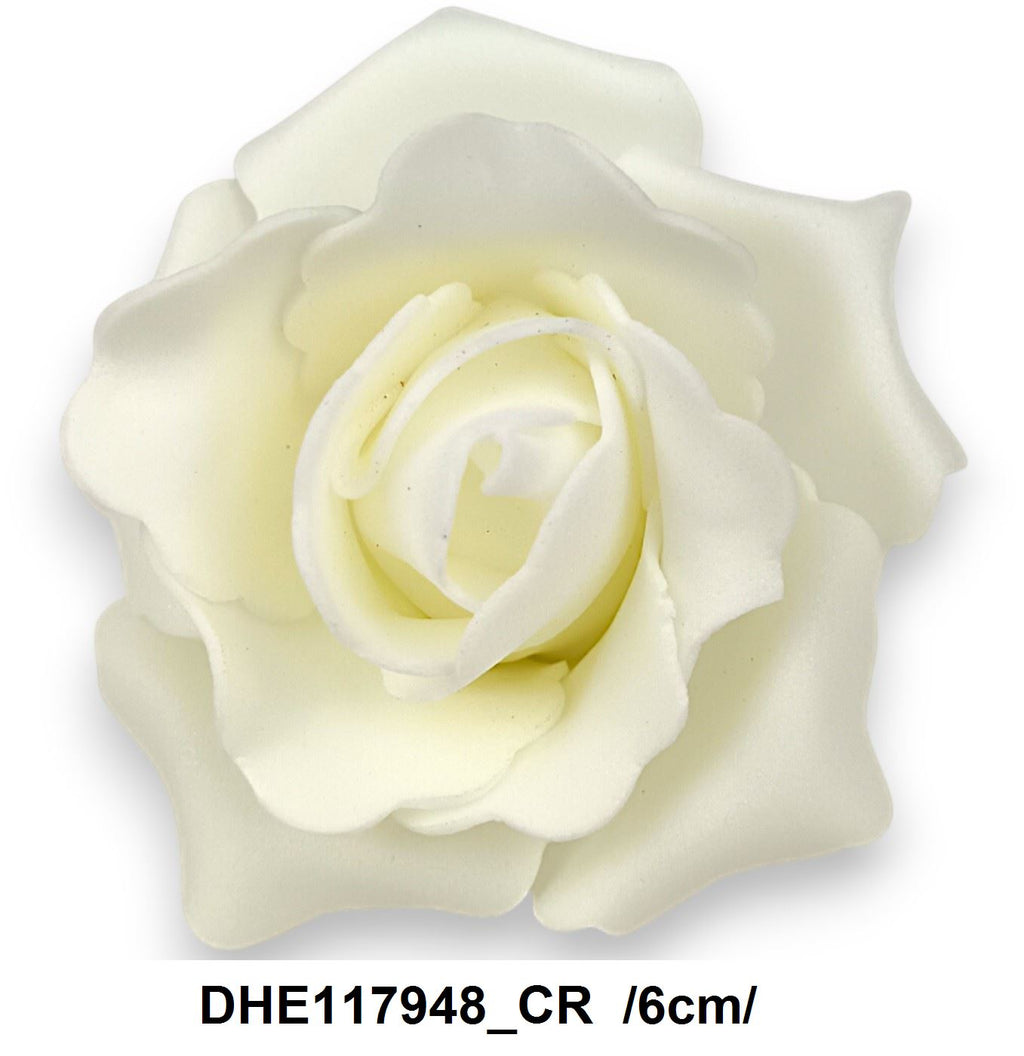 DHE117948_CR