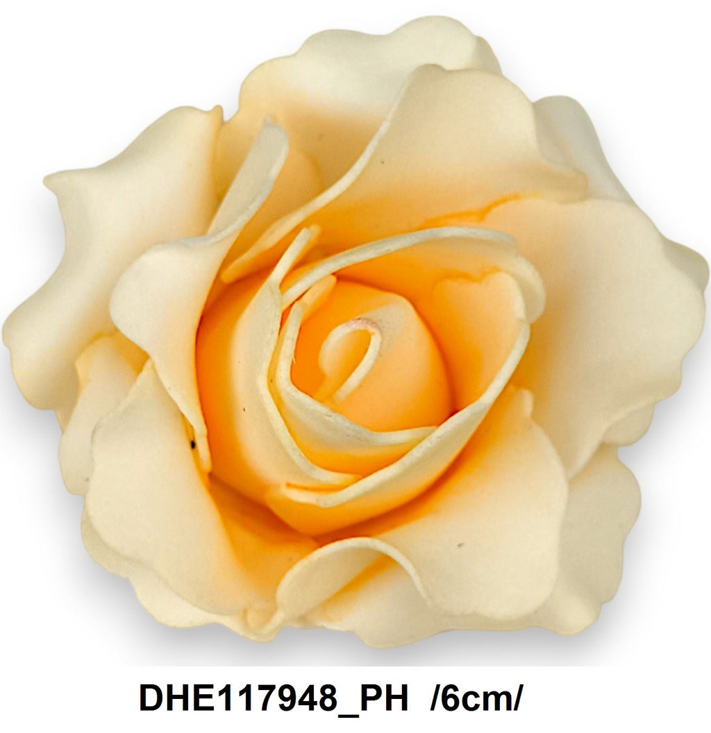 DHE117948_PH