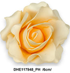 DHE117948_PH