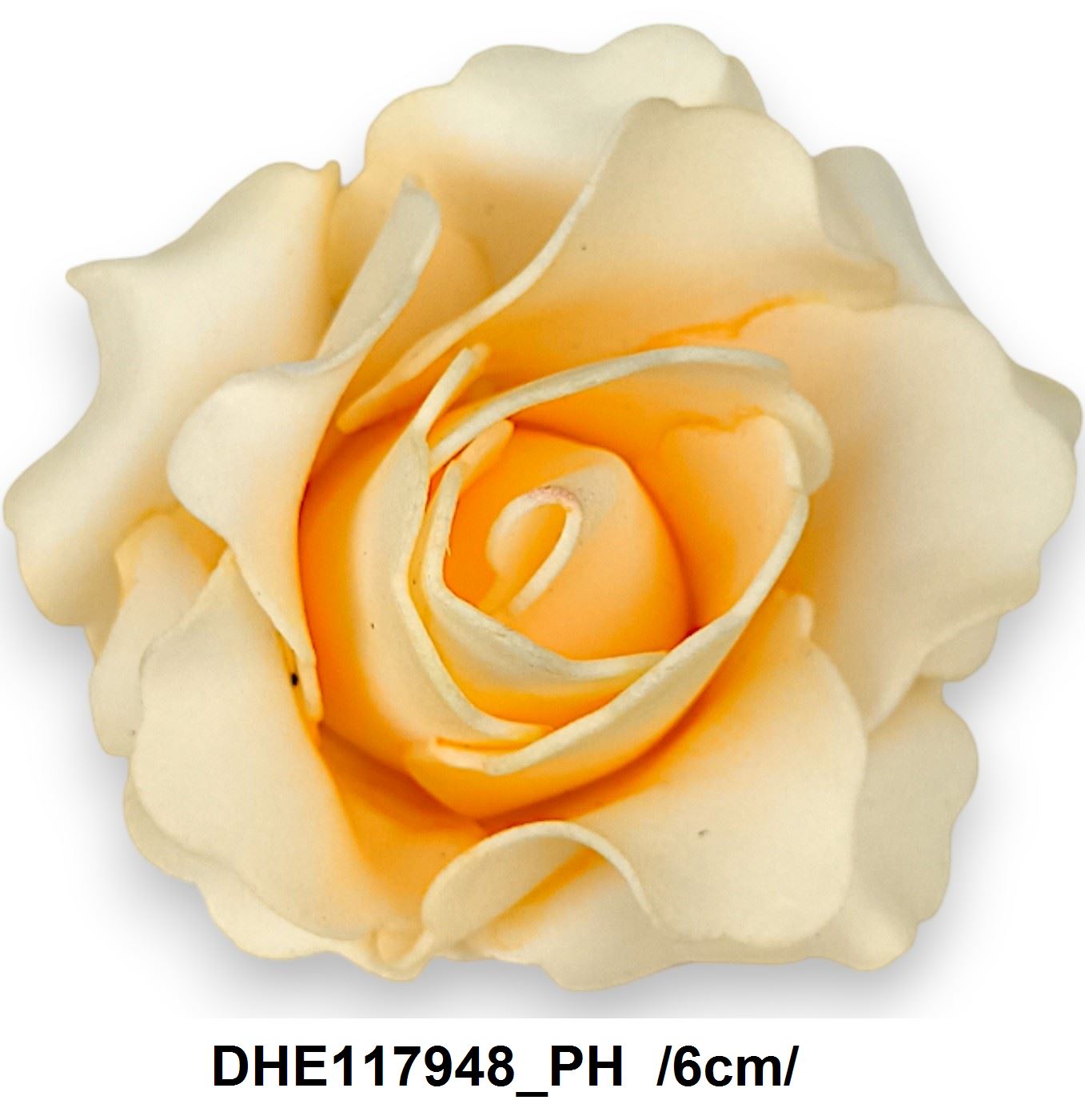 DHE117948_PH