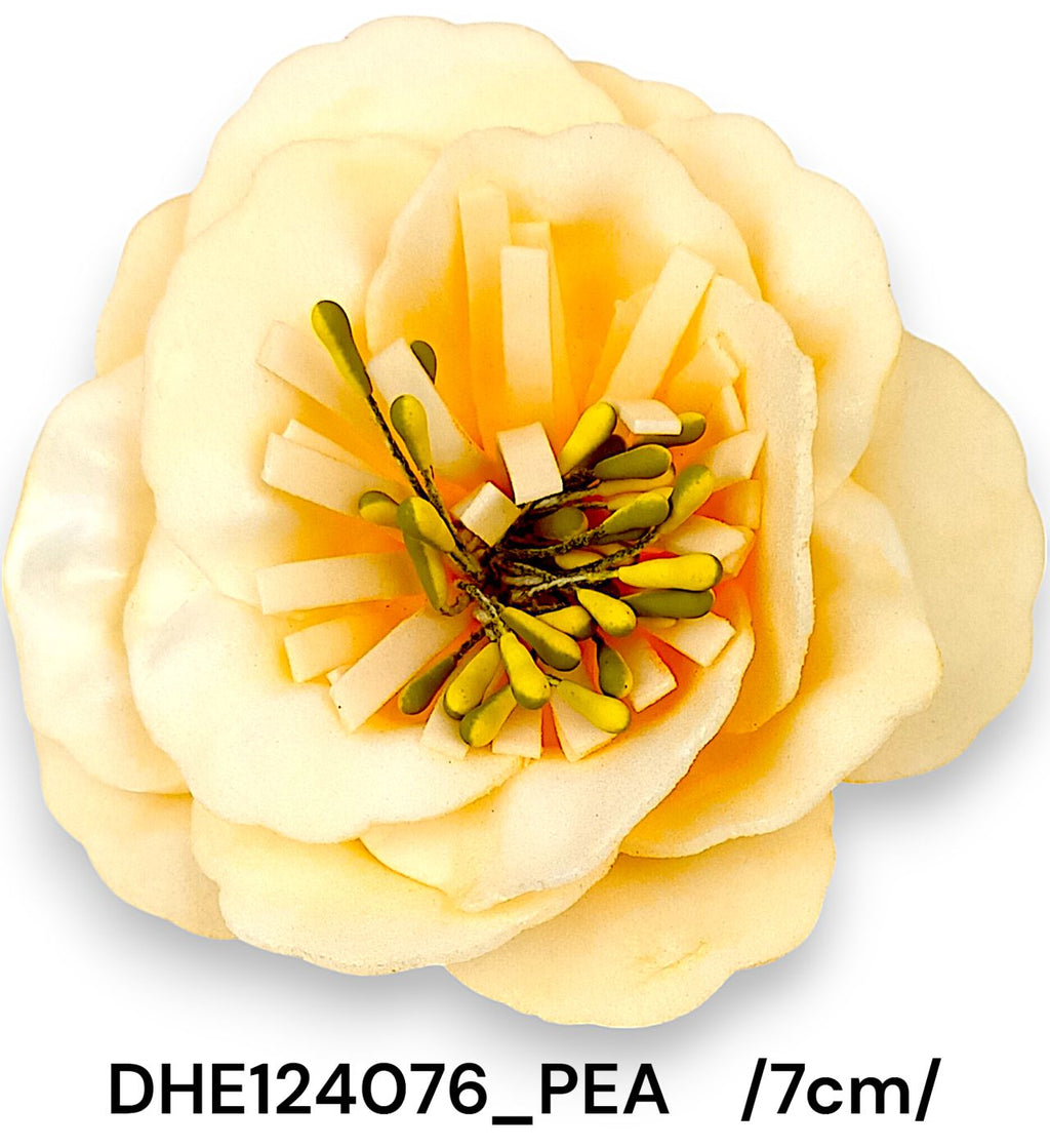 DHE124076_PEA