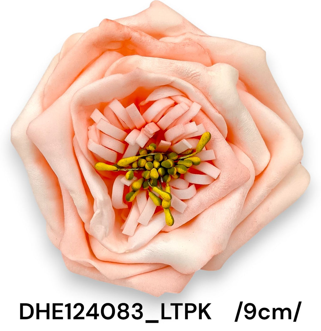 DHE124083_LTPK