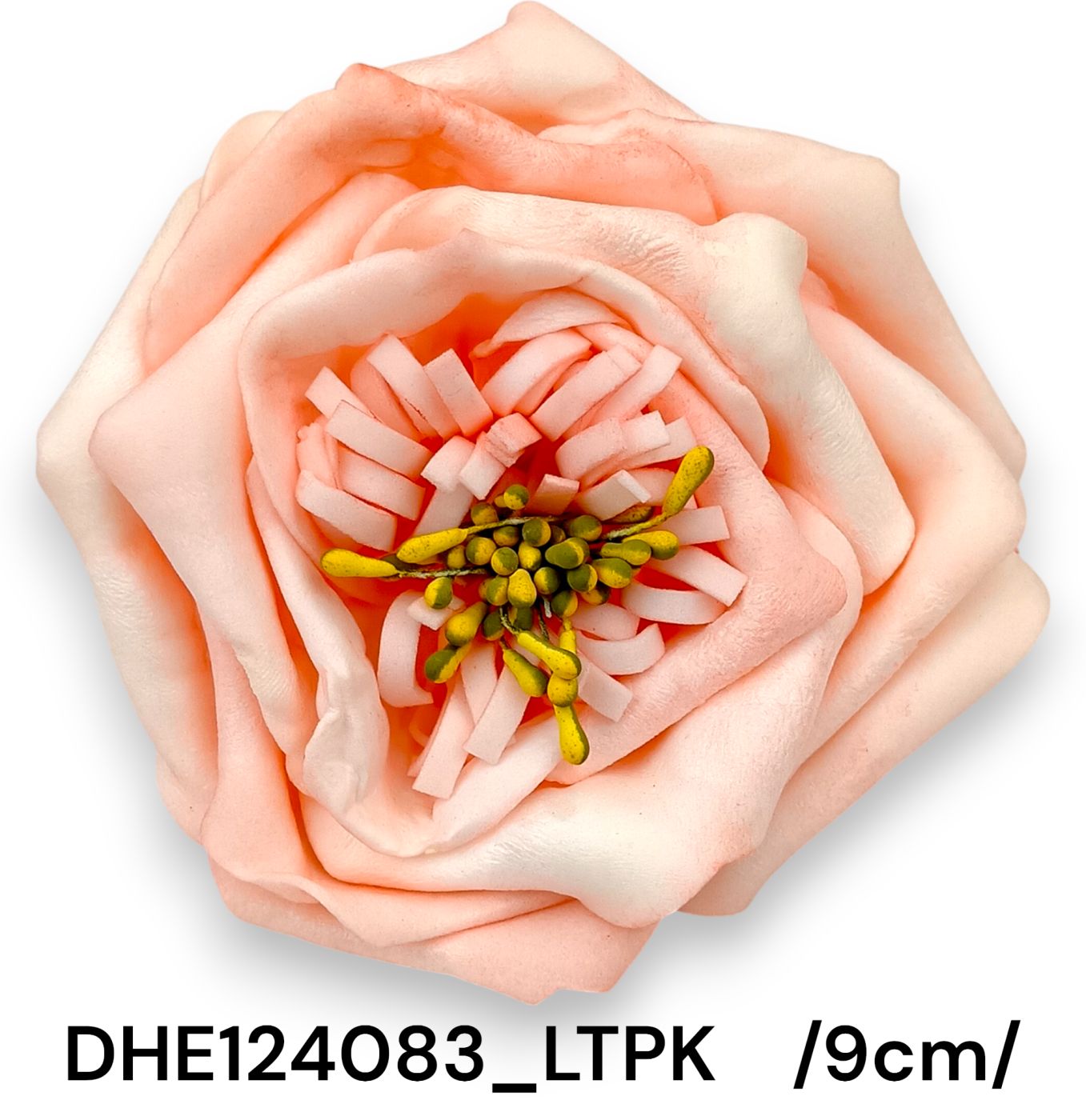 DHE124083_LTPK