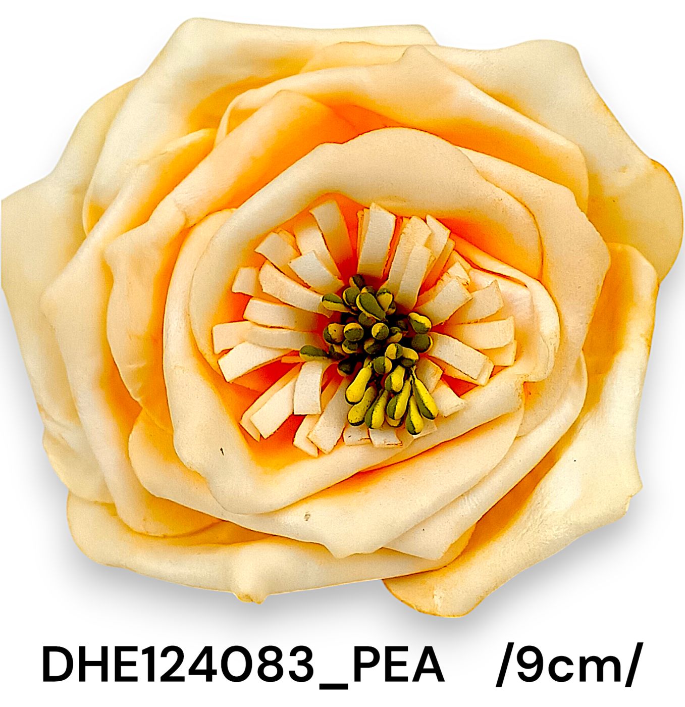 DHE124083_PEA