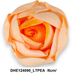 DHE124090_LTPEA