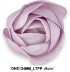 DHE124090_LTPP