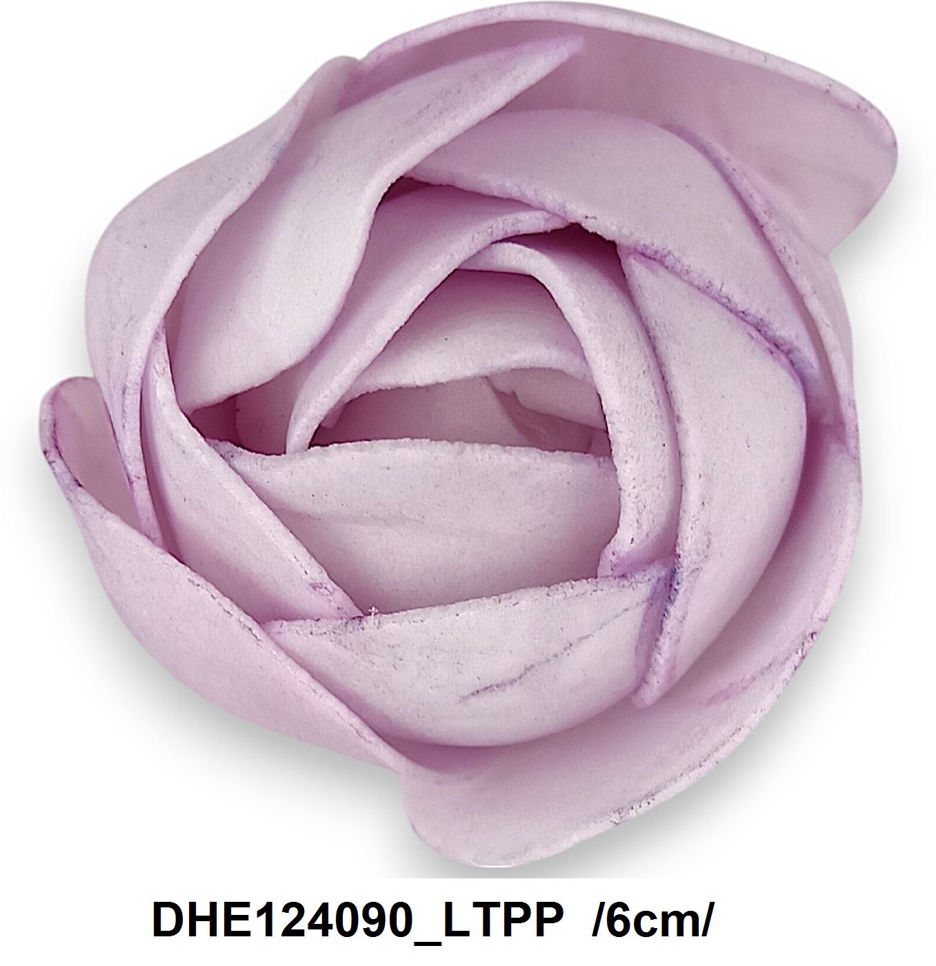 DHE124090_LTPP