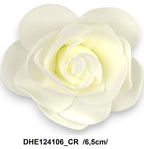 DHE124106_CR