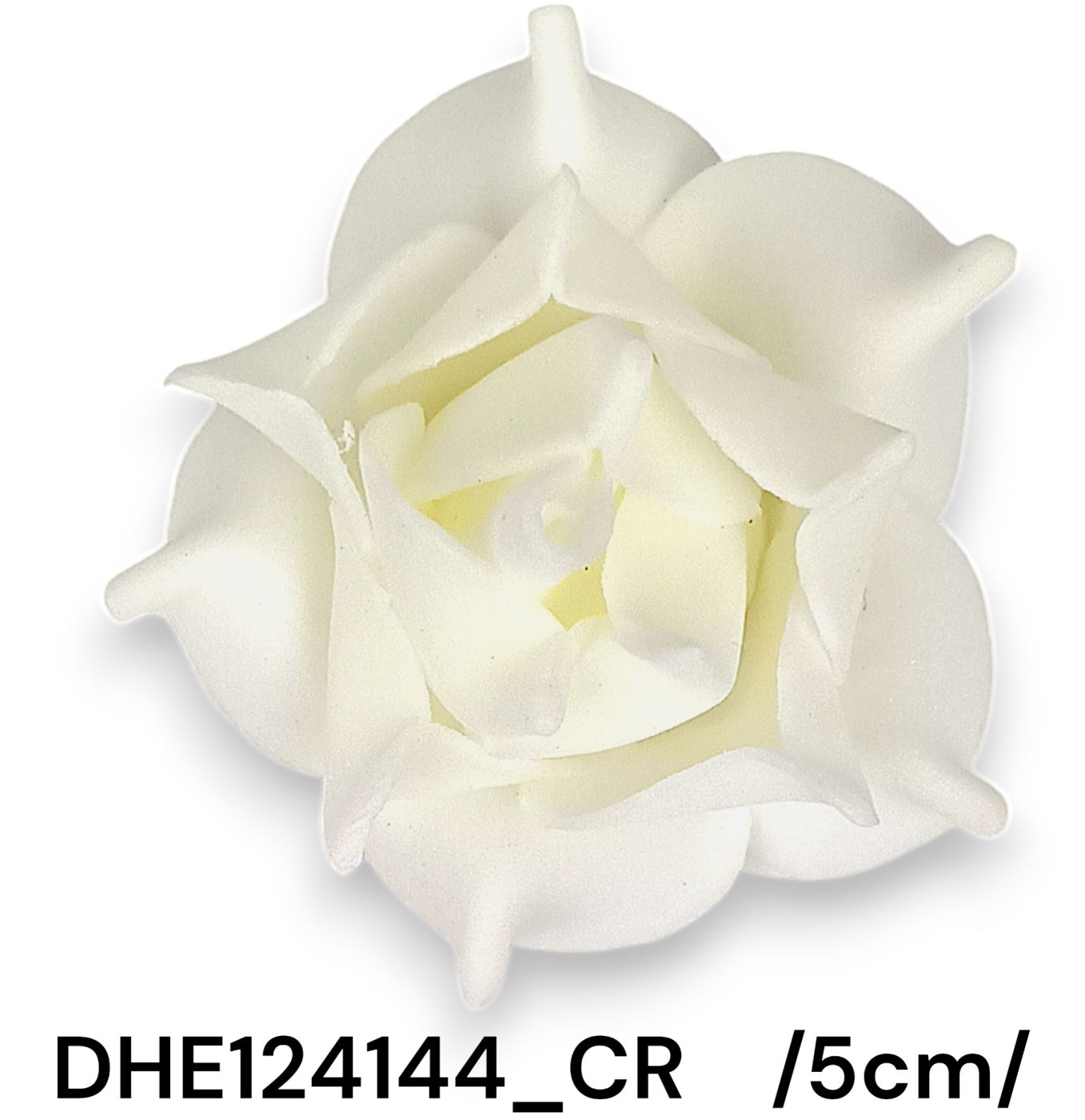 DHE124144_CR