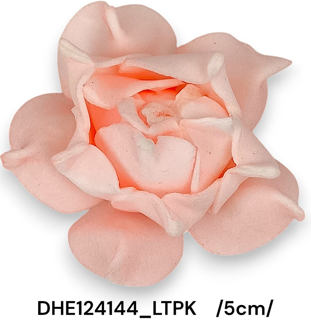 DHE124144_LTPK