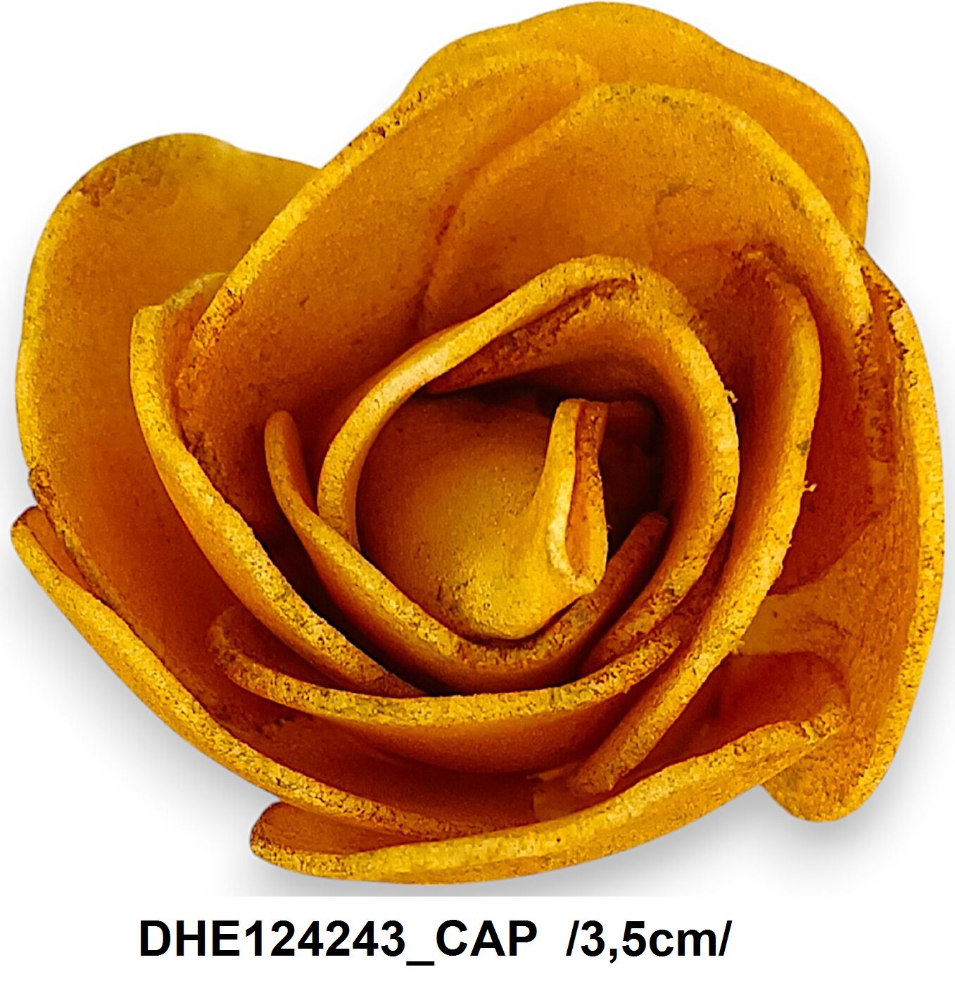 DHE124243_CAP