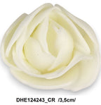 DHE124243_CR