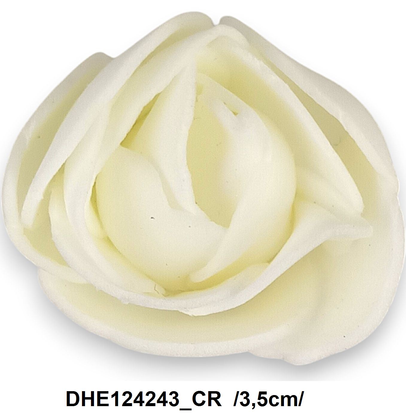 DHE124243_CR