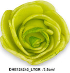 DHE124243_LTGR