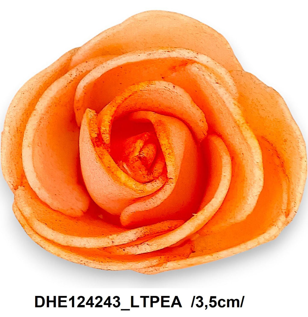 DHE124243_LTPEA