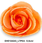 DHE124243_LTPEA