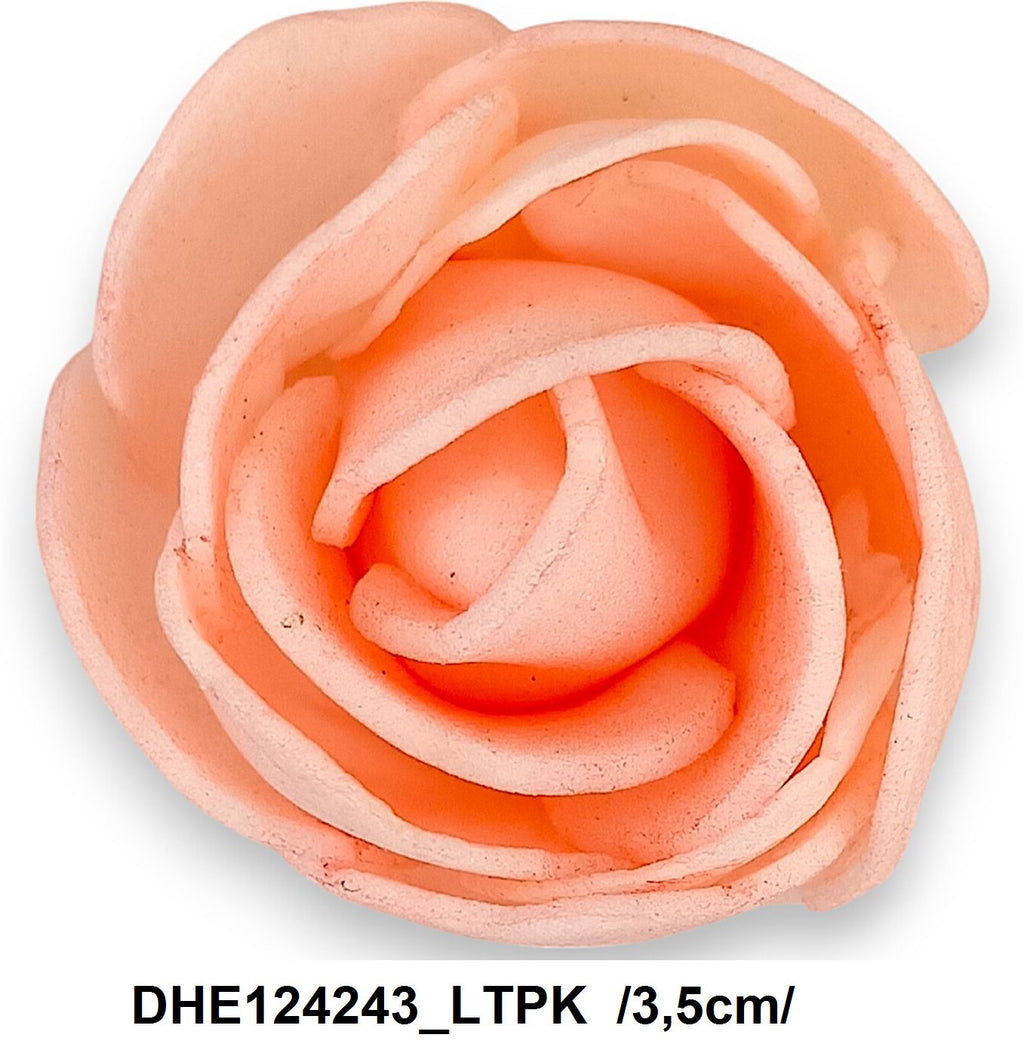 DHE124243_LTPK