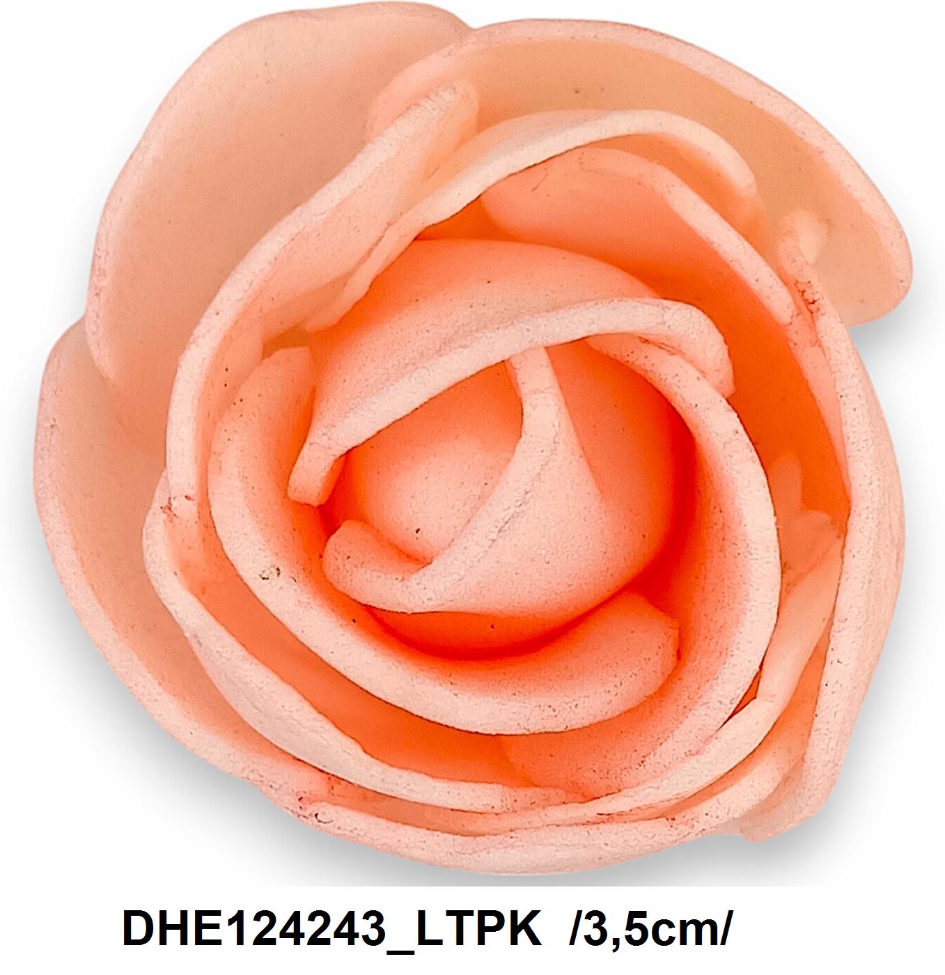 DHE124243_LTPK