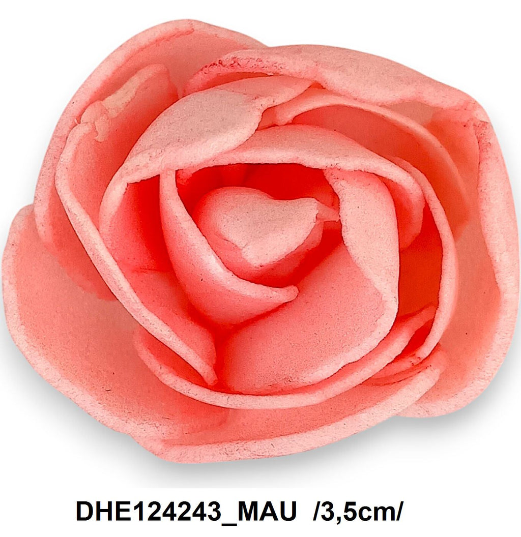 DHE124243_MAU