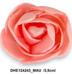 DHE124243_MAU