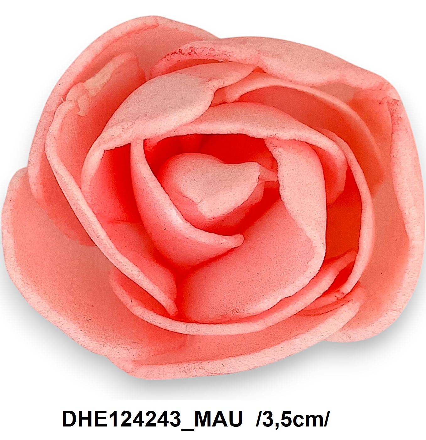 DHE124243_MAU