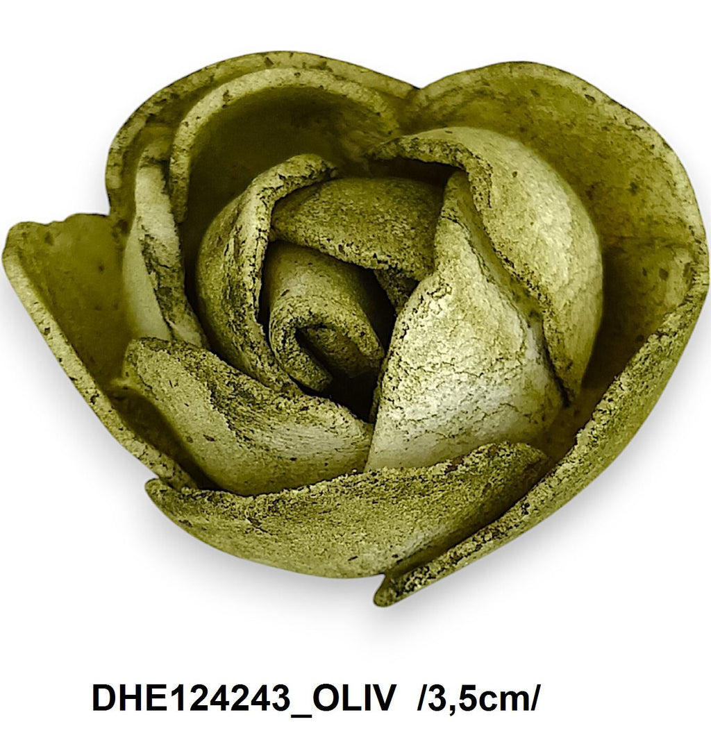 DHE124243_OLIV