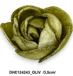 DHE124243_OLIV