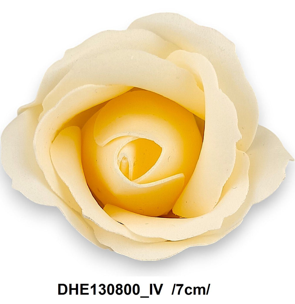 DHE130800_IV