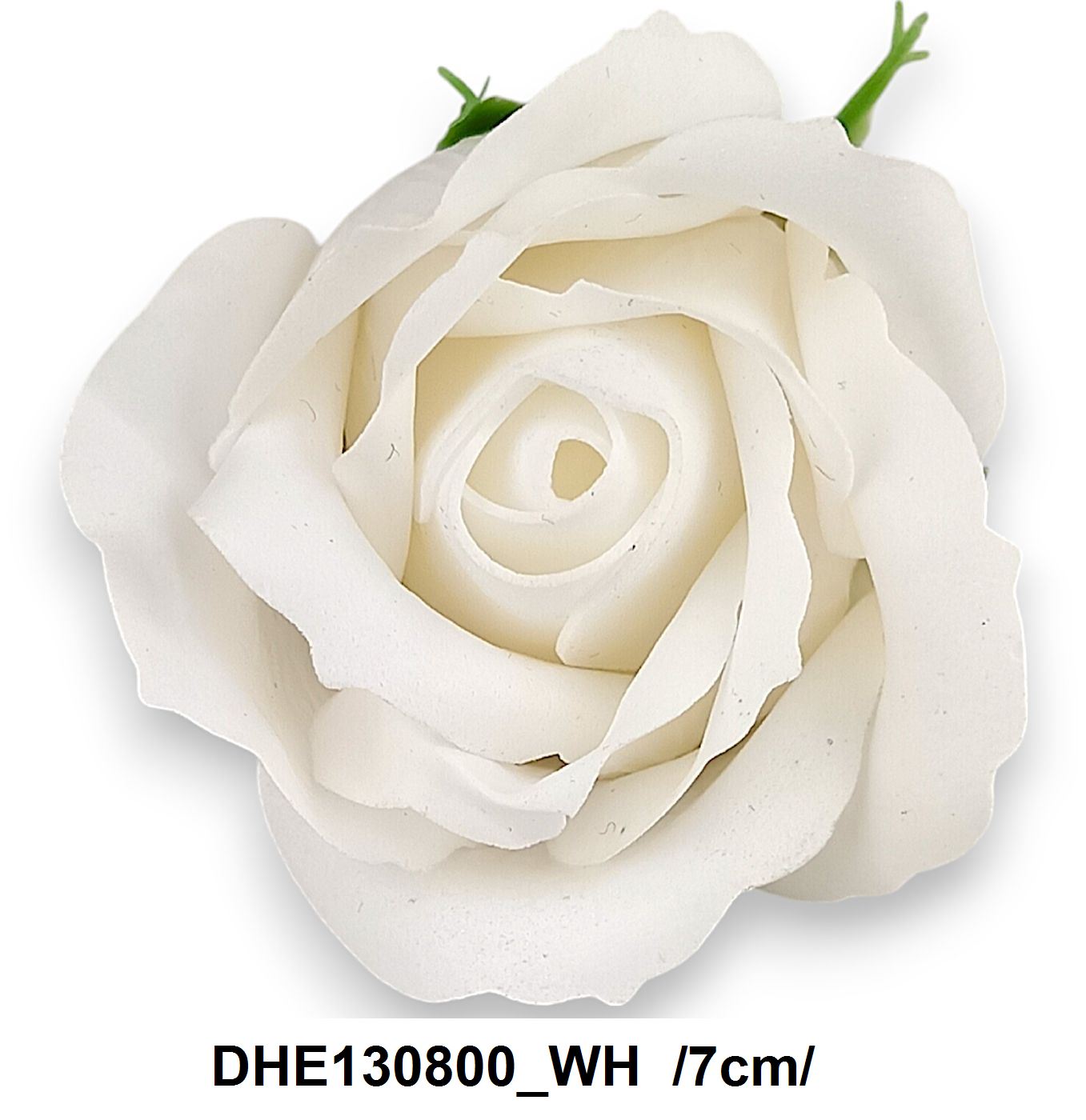 DHE130800_WH