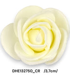 DHE132750_CR