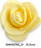 DHE132750_IV
