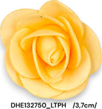 DHE132750_LTPH