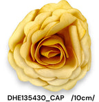 DHE135430_CAP